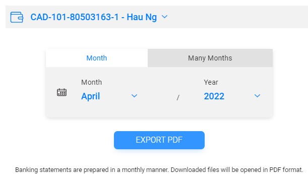 How can I export a bank statement from DNBC within a specific time period?